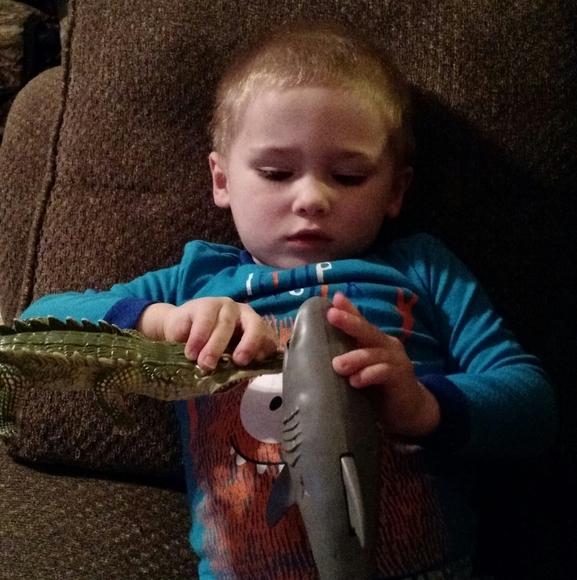 Meet your Posher, Angela - Picture 1 of 1